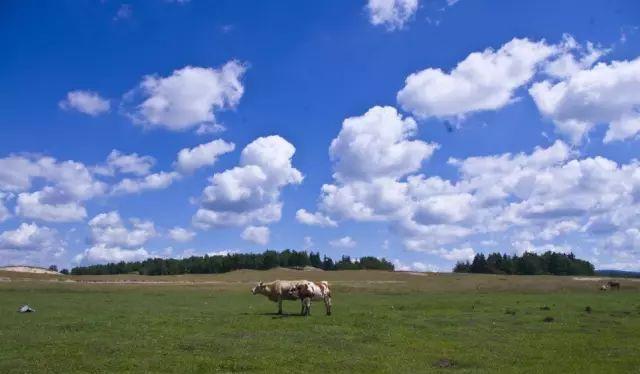 自駕跑山路線_野山坡露營_野山坡自駕游攻略