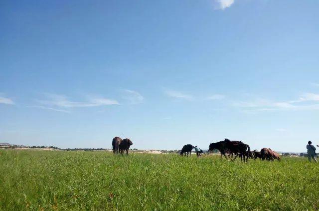 野山坡自駕游攻略_野山坡露營_自駕跑山路線
