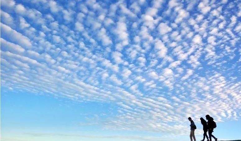 野山坡露營_自駕跑山路線_野山坡自駕游攻略