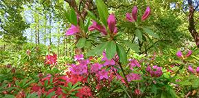 成都到天臺山自駕游_成都天臺山有多遠_自駕成都天臺山一日游攻略