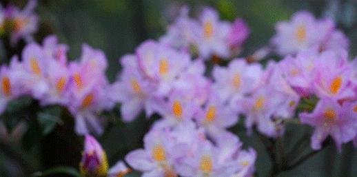 成都到天臺山自駕游_成都天臺山有多遠_自駕成都天臺山一日游攻略