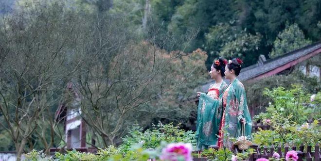 自駕成都天臺山一日游攻略_成都天臺山有多遠_成都到天臺山自駕游