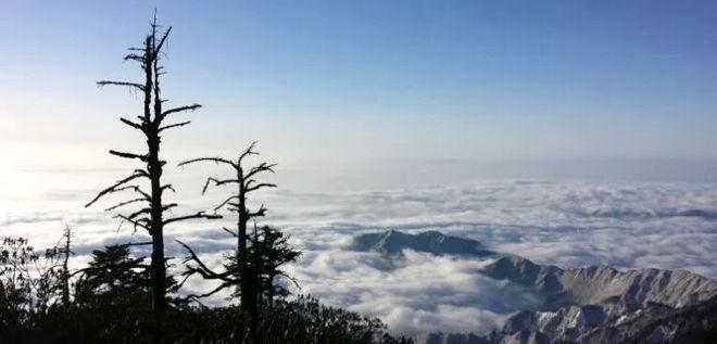 自駕成都天臺山一日游攻略_成都天臺山有多遠_成都到天臺山自駕游