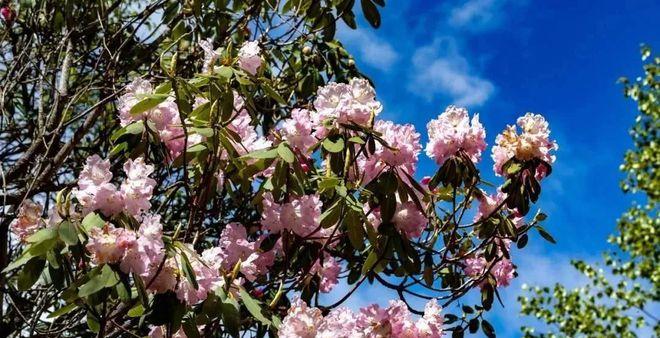 成都到天臺山自駕游_自駕成都天臺山一日游攻略_成都天臺山有多遠
