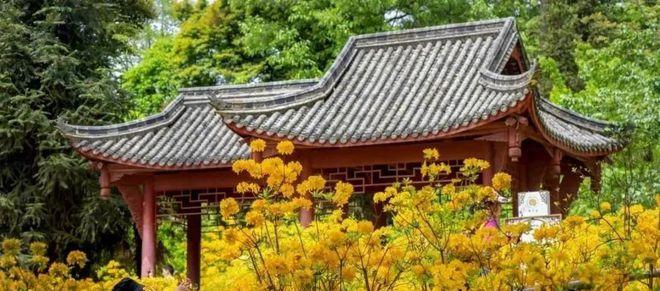 成都天臺山有多遠_自駕成都天臺山一日游攻略_成都到天臺山自駕游