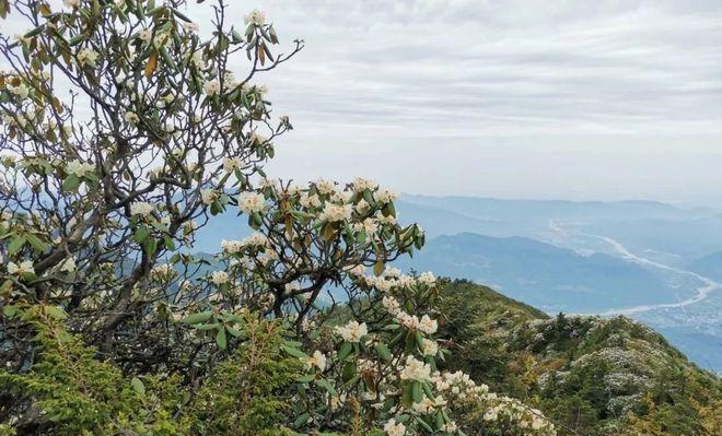 成都到天臺山自駕游_成都天臺山有多遠_自駕成都天臺山一日游攻略