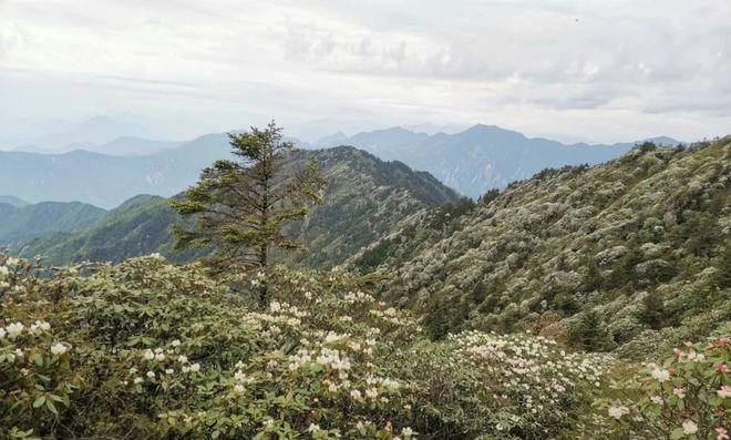 成都天臺山有多遠_成都到天臺山自駕游_自駕成都天臺山一日游攻略