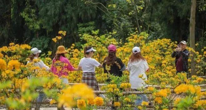 成都到天臺山自駕游_成都天臺山有多遠_自駕成都天臺山一日游攻略