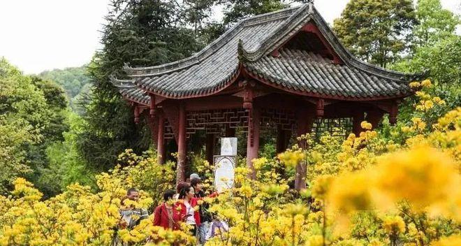 成都到天臺山自駕游_自駕成都天臺山一日游攻略_成都天臺山有多遠