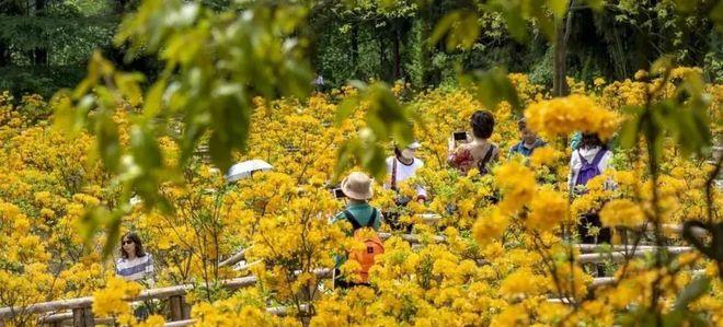 自駕成都天臺山一日游攻略_成都到天臺山自駕游_成都天臺山有多遠