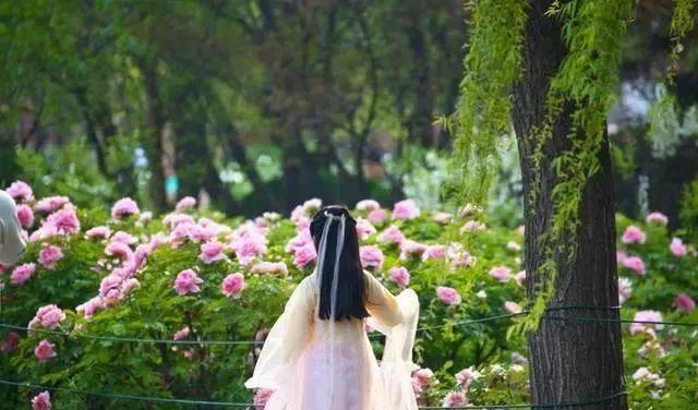 自駕成都天臺山一日游攻略_成都天臺山有多遠_成都到天臺山自駕游