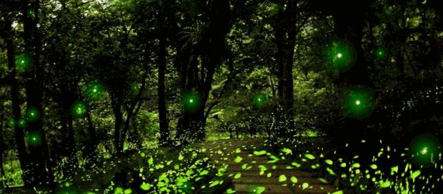 成都到天臺山自駕游_自駕天臺成都山游到哪里好玩_自駕成都天臺山一日游攻略