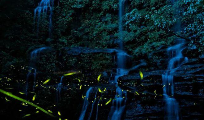 自駕成都天臺山一日游攻略_成都到天臺山自駕游_自駕天臺成都山游到哪里好玩