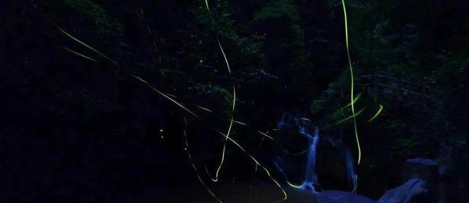 自駕天臺成都山游到哪里好玩_成都到天臺山自駕游_自駕成都天臺山一日游攻略