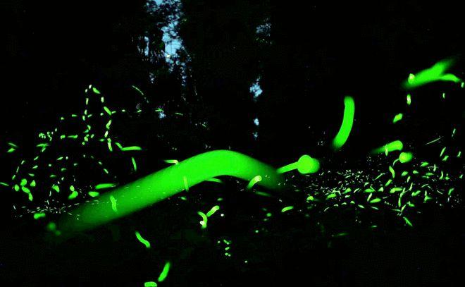 成都到天臺山自駕游_自駕天臺成都山游到哪里好玩_自駕成都天臺山一日游攻略