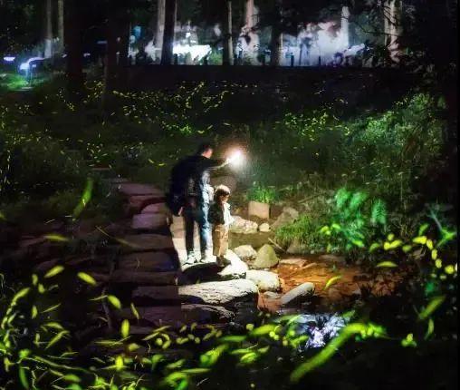 成都到天臺山自駕游_自駕成都天臺山一日游攻略_自駕天臺成都山游到哪里好玩