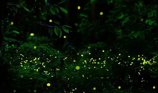 自駕天臺成都山游到哪里好玩_成都到天臺山自駕游_自駕成都天臺山一日游攻略