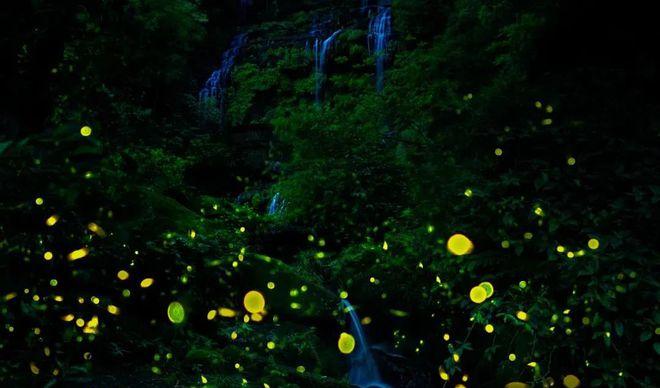 自駕成都天臺山一日游攻略_成都到天臺山自駕游_自駕天臺成都山游到哪里好玩