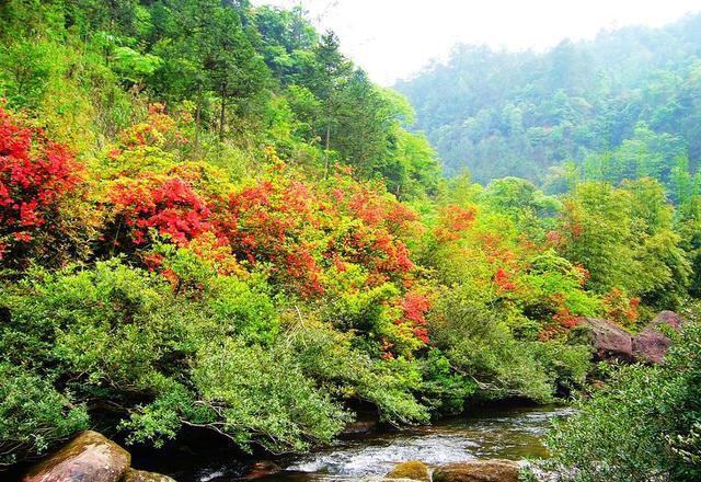 重慶自駕游的最佳路線_自駕重慶旅游攻略景點必去_自駕游重慶攻略