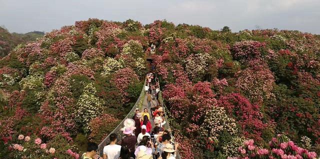 自駕游重慶攻略_重慶自駕游的最佳路線_自駕重慶旅游攻略景點必去