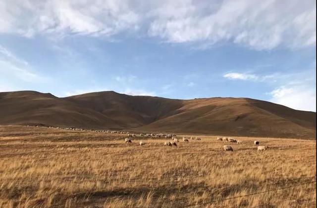青海湖自駕游拍照技巧_青海湖邊拍照_青海湖邊怎么拍照
