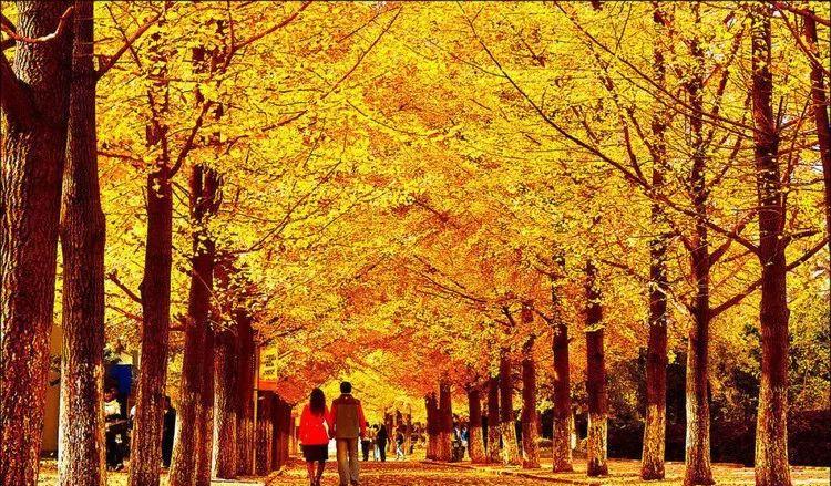 遼寧自駕公路_自駕遼寧旅游攻略_遼寧自駕游路線圖