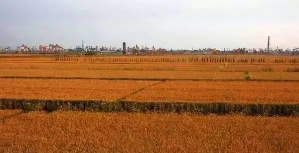 遼寧自駕游路線圖_遼寧自駕游最佳路線圖_自駕游遼寧省