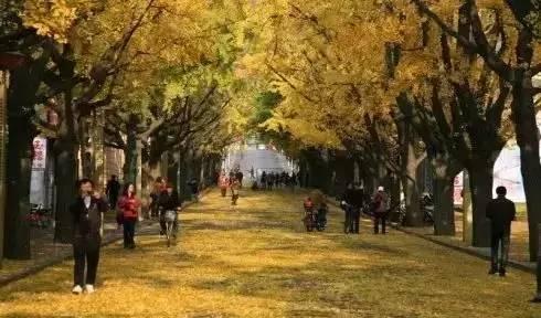 自駕游遼寧省_遼寧自駕游路線圖_遼寧自駕游最佳路線圖