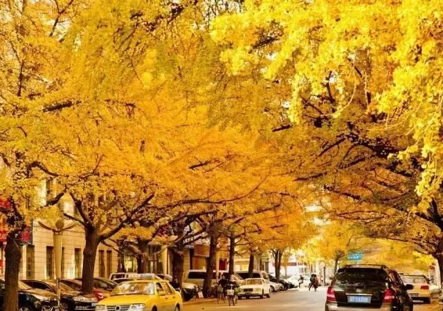 自駕游遼寧省_遼寧自駕游最佳路線圖_遼寧自駕游路線圖