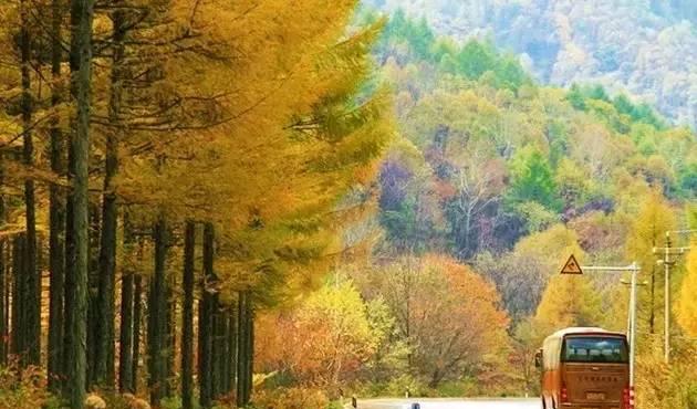 自駕游遼寧省_遼寧自駕游路線圖_遼寧自駕游最佳路線圖