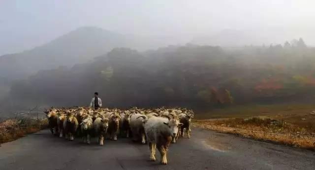 遼寧自駕游最佳路線圖_遼寧自駕游路線圖_自駕游遼寧省