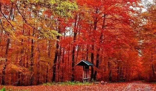 自駕游遼寧省_遼寧自駕游最佳路線圖_遼寧自駕游路線圖