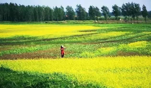 遼寧自駕游路線圖_自駕游遼寧省_遼寧自駕游最佳路線圖