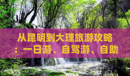 廣東周邊四天自駕游_冠狀病毒疑似病例判斷標準_付出收獲的反面例子