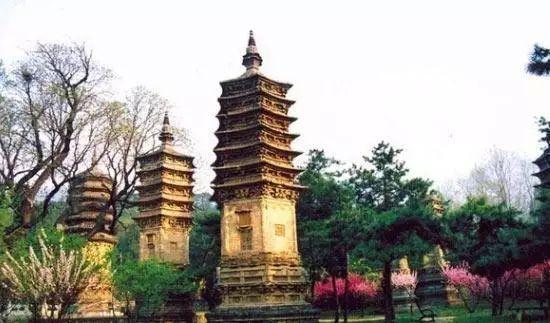 野山坡自駕游攻略_野山坡路好走嗎_野山坡露營