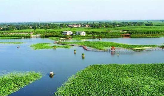 野山坡露營_野山坡自駕游攻略_野山坡路好走嗎