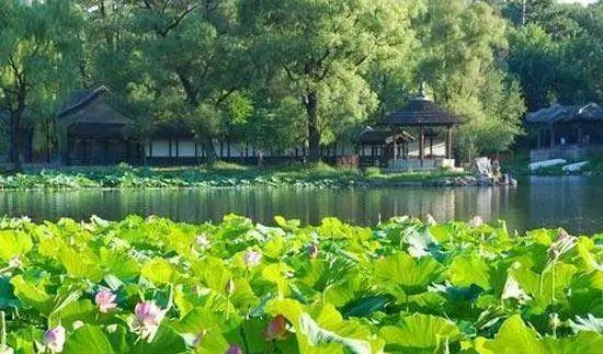 野山坡路好走嗎_野山坡自駕游攻略_野山坡露營