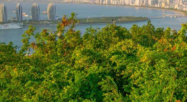 重慶到海南三亞自駕游:三亞海濱風(fēng)景