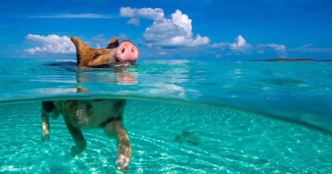 貴陽(yáng)自駕游北海一路景點(diǎn)_貴陽(yáng)自駕北海旅游攻略_貴陽(yáng)到北海自駕游費(fèi)用