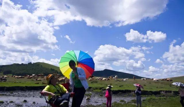 野山坡自駕游攻略_自駕跑山路線_野山坡路好走嗎