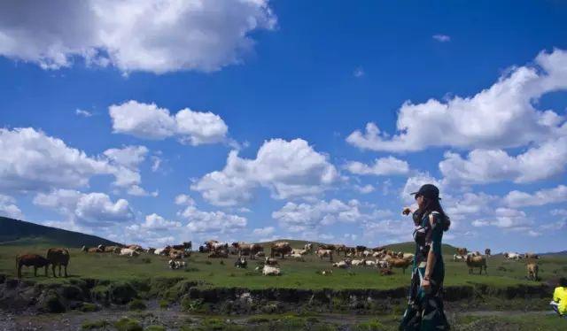 野山坡自駕游攻略_野山坡路好走嗎_自駕跑山路線