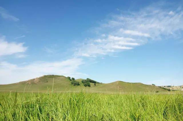 野山坡自駕游攻略_野山坡路好走嗎_自駕跑山路線