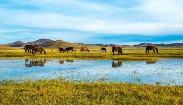 自駕跑山路線_野山坡路好走嗎_野山坡自駕游攻略