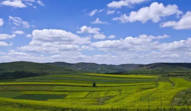 野山坡路好走嗎_自駕跑山路線_野山坡自駕游攻略