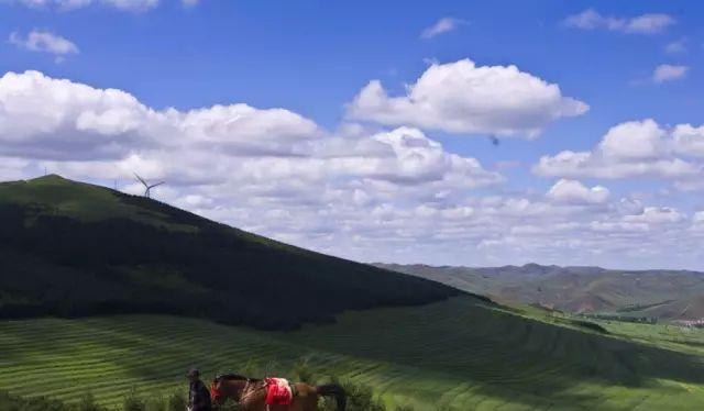 野山坡自駕游攻略_自駕跑山路線_野山坡路好走嗎