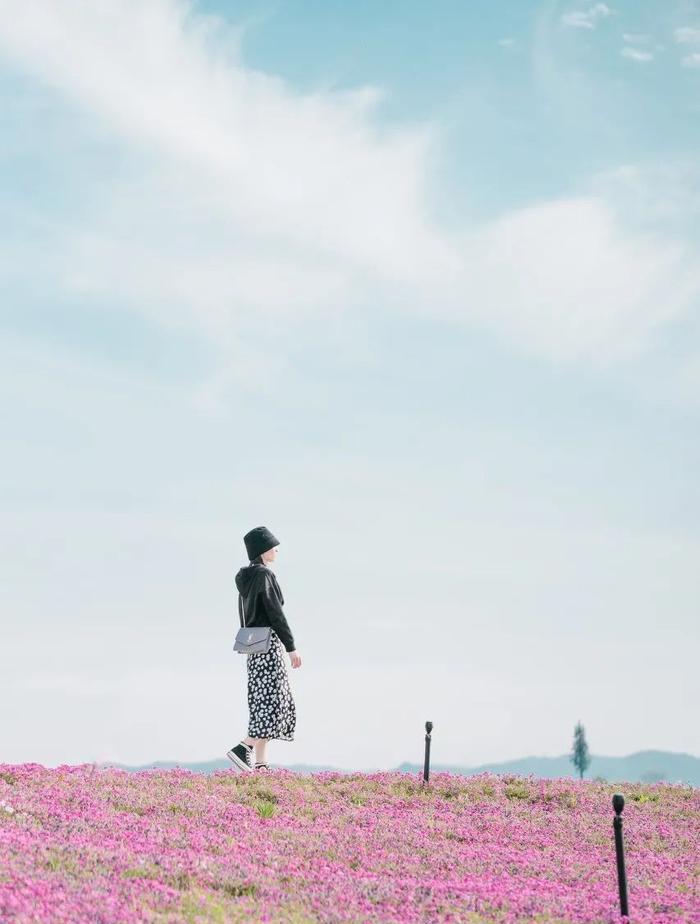 寧波出發(fā)自駕游三天最適合路線_寧波出發(fā)自駕游5天_寧波出發(fā)自駕游7天