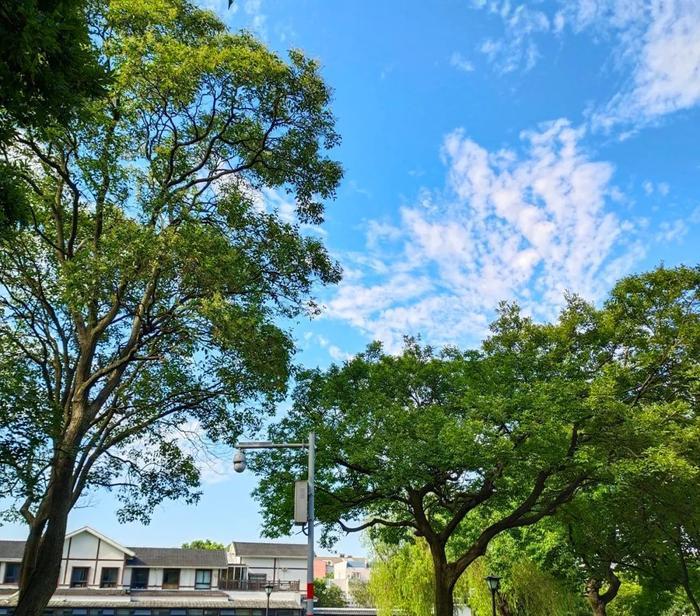 寧波出發(fā)自駕游三天最適合路線_寧波出發(fā)自駕游7天_寧波出發(fā)自駕游5天