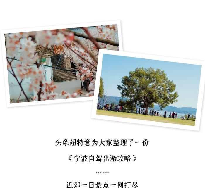 寧波出發(fā)自駕游7天_寧波出發(fā)自駕游三天最適合路線_寧波出發(fā)自駕游5天