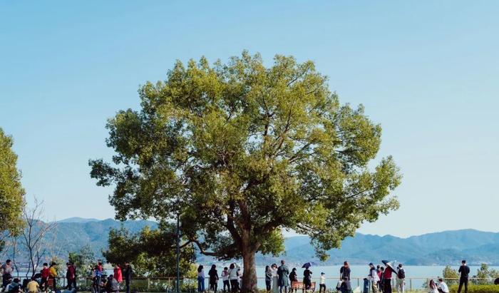 寧波出發(fā)自駕游三天最適合路線_寧波出發(fā)自駕游7天_寧波出發(fā)自駕游5天