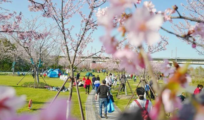 寧波出發(fā)自駕游5天_寧波出發(fā)自駕游三天最適合路線_寧波出發(fā)自駕游7天